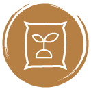 Plant Icon