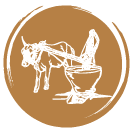 Cow Icon